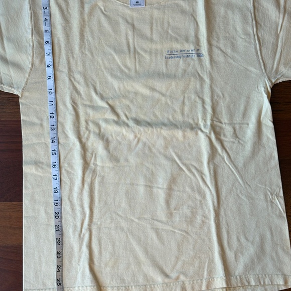 Alpha Omicron Pi Vintage 2000 Leadership Institute T-Shirt with Misspelled Word - Picture 7 of 10